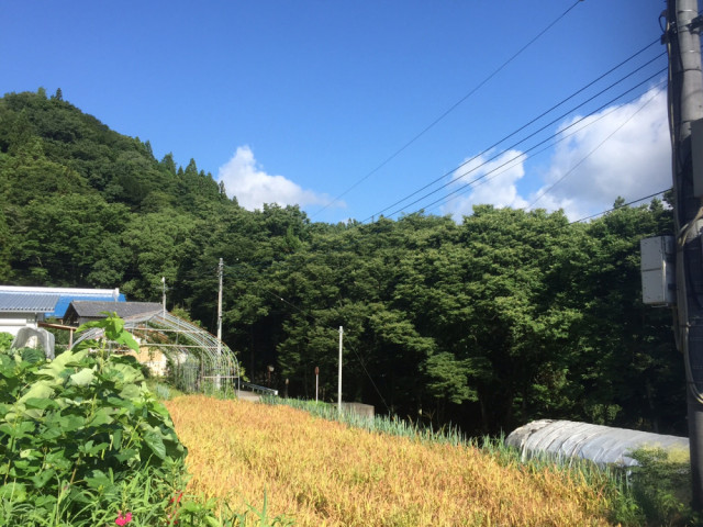 田舎の景色